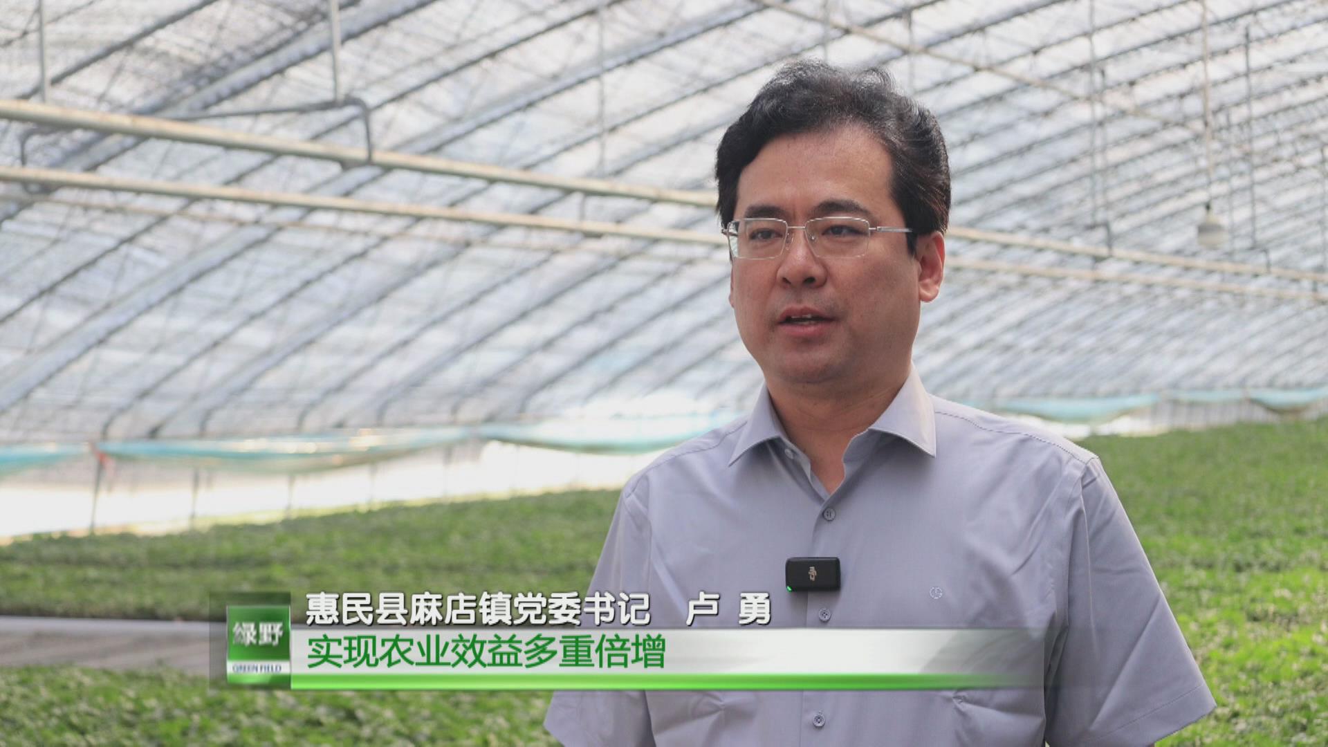 拓宽黄河滩区群众致富路 山东东明县兴东新村村企联合带动新增就业人口3500余人