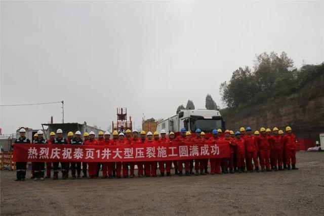 石化油服公布国际专利申请：“充填筛管及用于连接充填筛管的旁通接头”