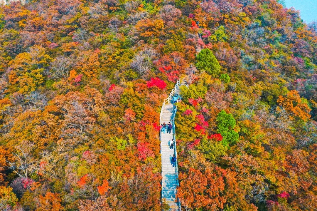 2024山地旅游行业市场发展现状及供需趋势、投资前景分析_人保车险   品牌优势——快速了解燃油汽车车险,人保车险