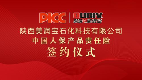 保险有温度,人保财险 _2024年聚苯醚PPO行业发展现状、竞争格局及未来发展趋势与前景分析