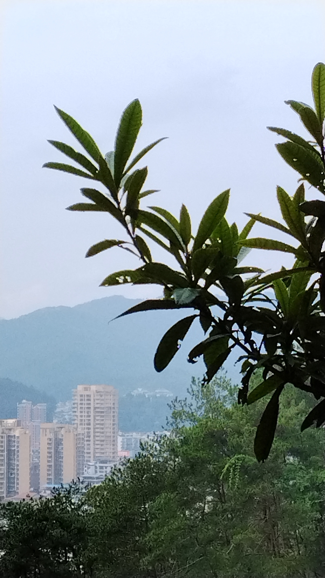 高通侯明娟：一起用科技的力量，传递生命的力量