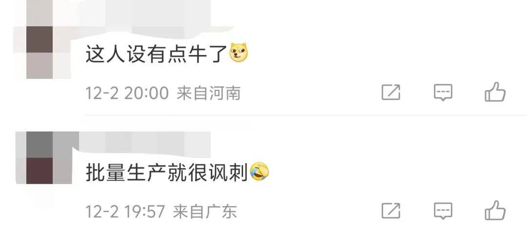 李子柒很少，但是去“联合国开会的精英”很多