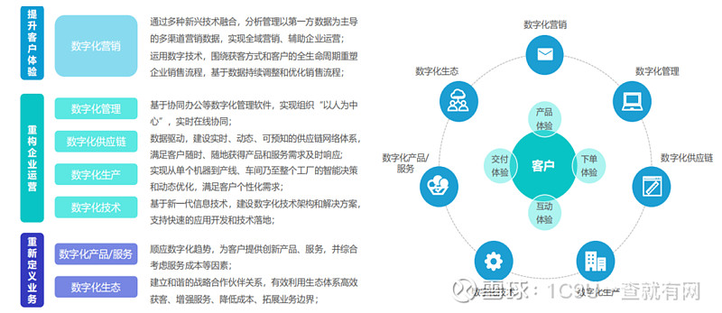 2025移动运营行业市场前瞻与未来投资战略分析、数字化转型和产业升级_保险有温度,人保服务