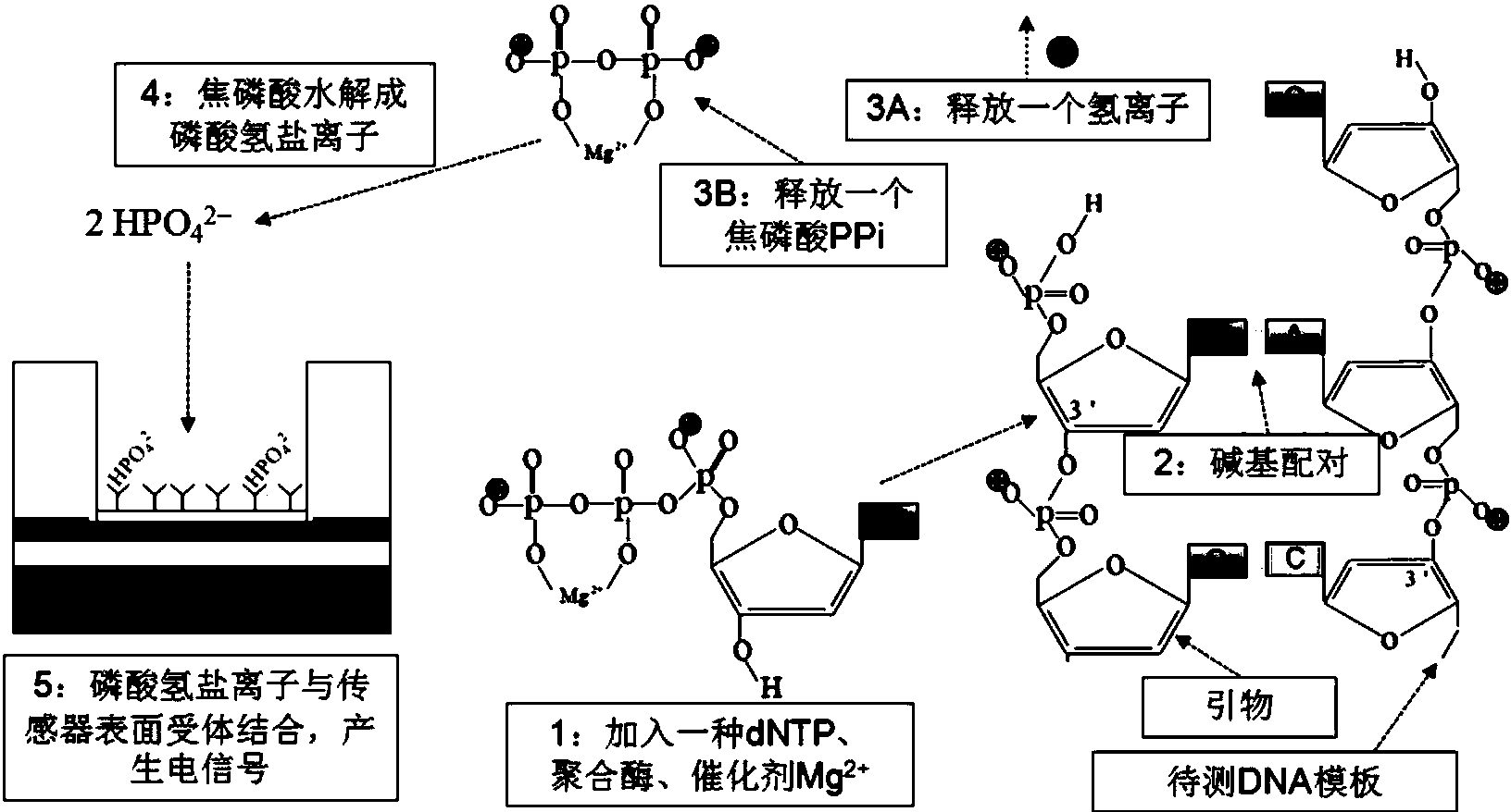 醋化股份获得发明专利授权：“一种新型乙腈催化剂及其制备方法”