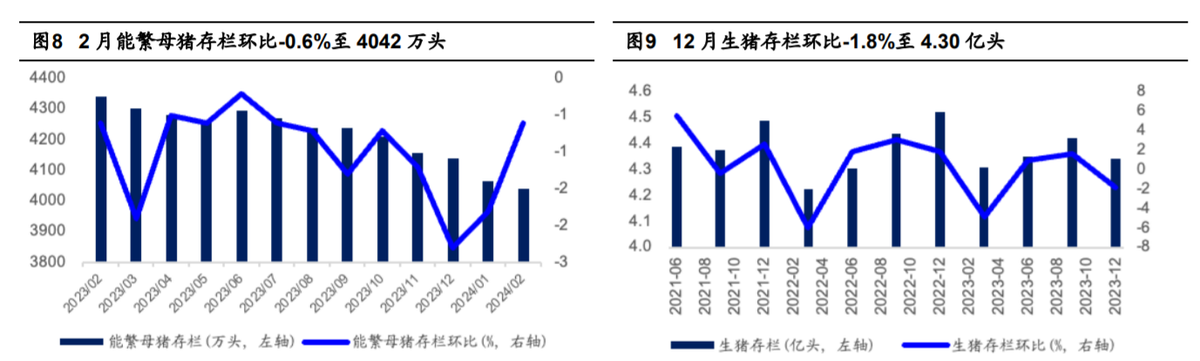 （2024年12月9日）今日生猪期货最新价格查询