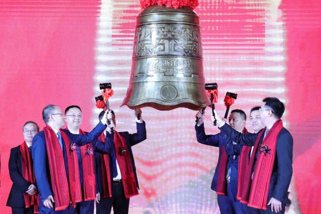 深交所向浙江正特股份有限公司发出监管函