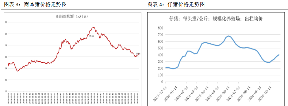 （2024年12月13日）今日生猪期货最新价格查询