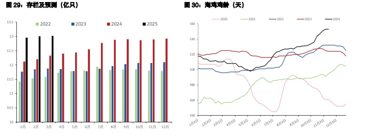 （2024年12月17日）白糖期货价格行情今日报价