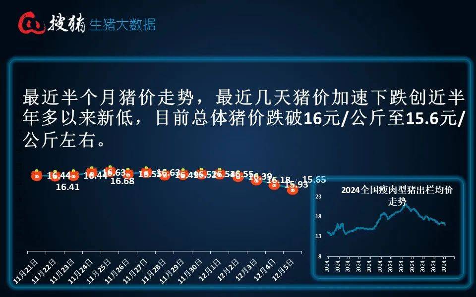 生猪供大于求现象继续 市场对明年价格仍旧悲观