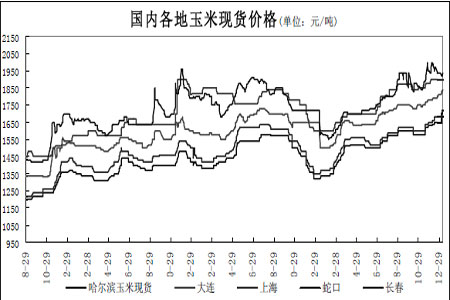 （2024年12月25日）今日玉米期货和美玉米最新价格查询