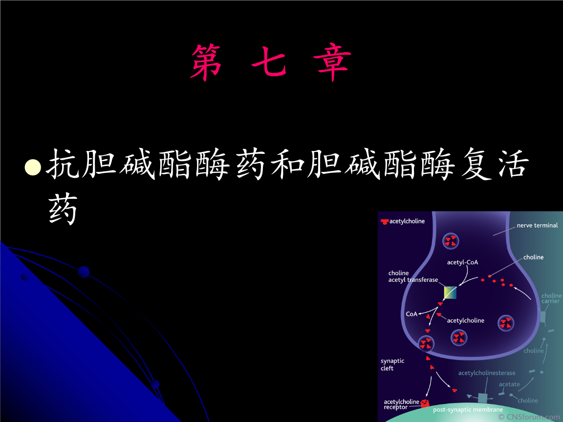 我国科学家揭示害虫抗药的关键机制