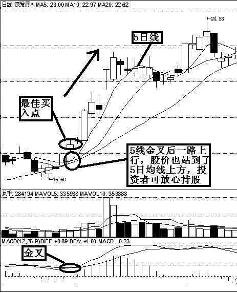 798只股短线走稳 站上五日均线