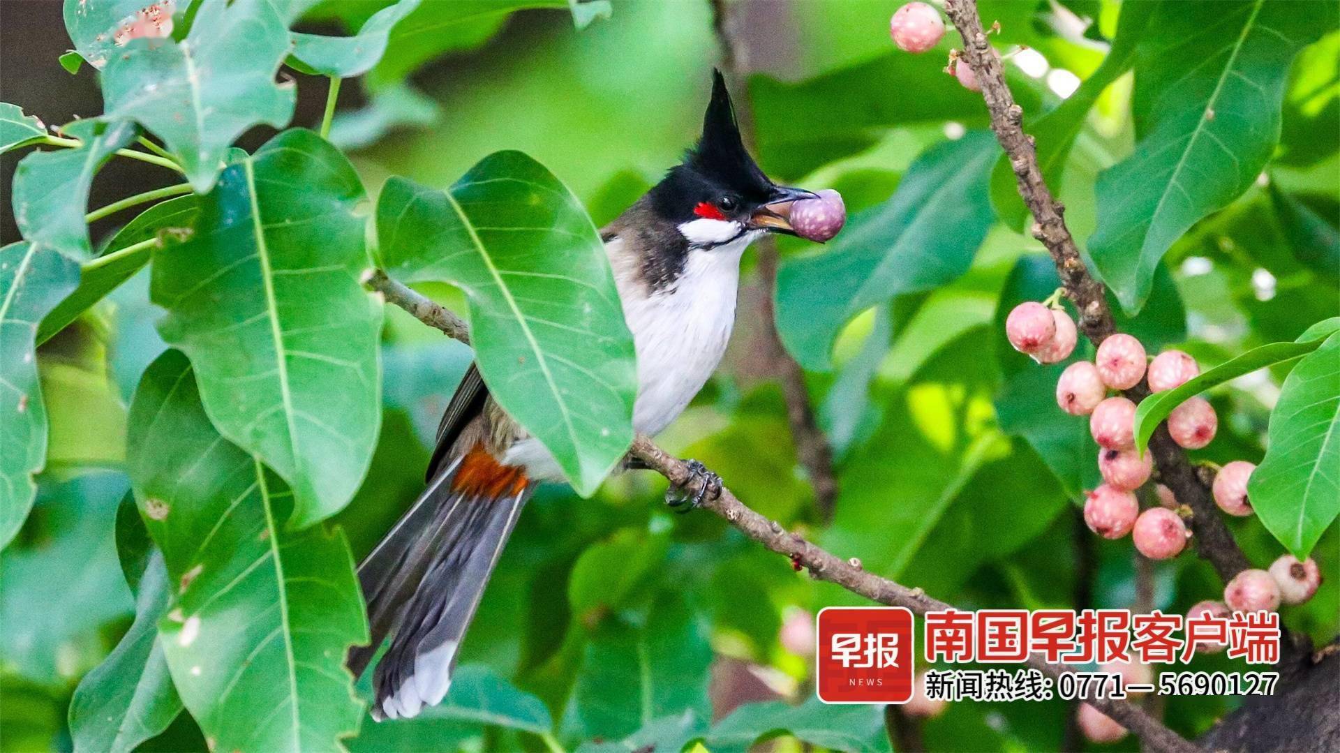 立方风控鸟·早报（12月28日）