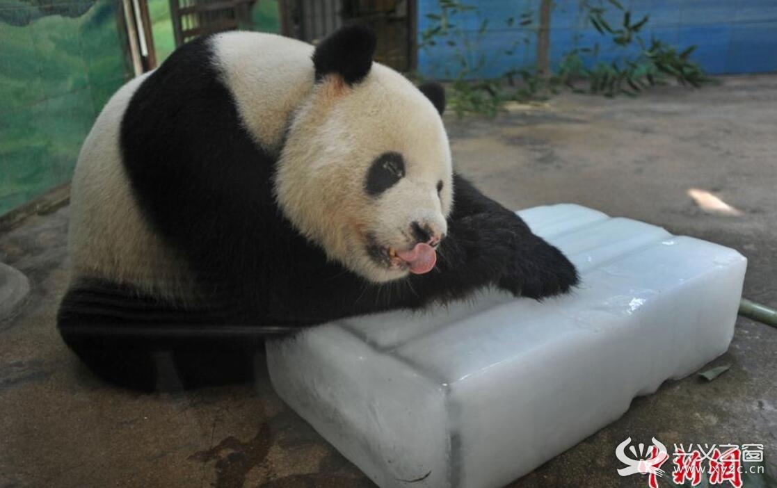 南京熊猫获得发明专利授权：“一种可自动调整秒脉冲锁定周期的短波BPM授时接收方法及装置”