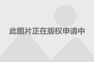 阅文集团(00772.HK)连续2日回购，累计斥资986.18万港元