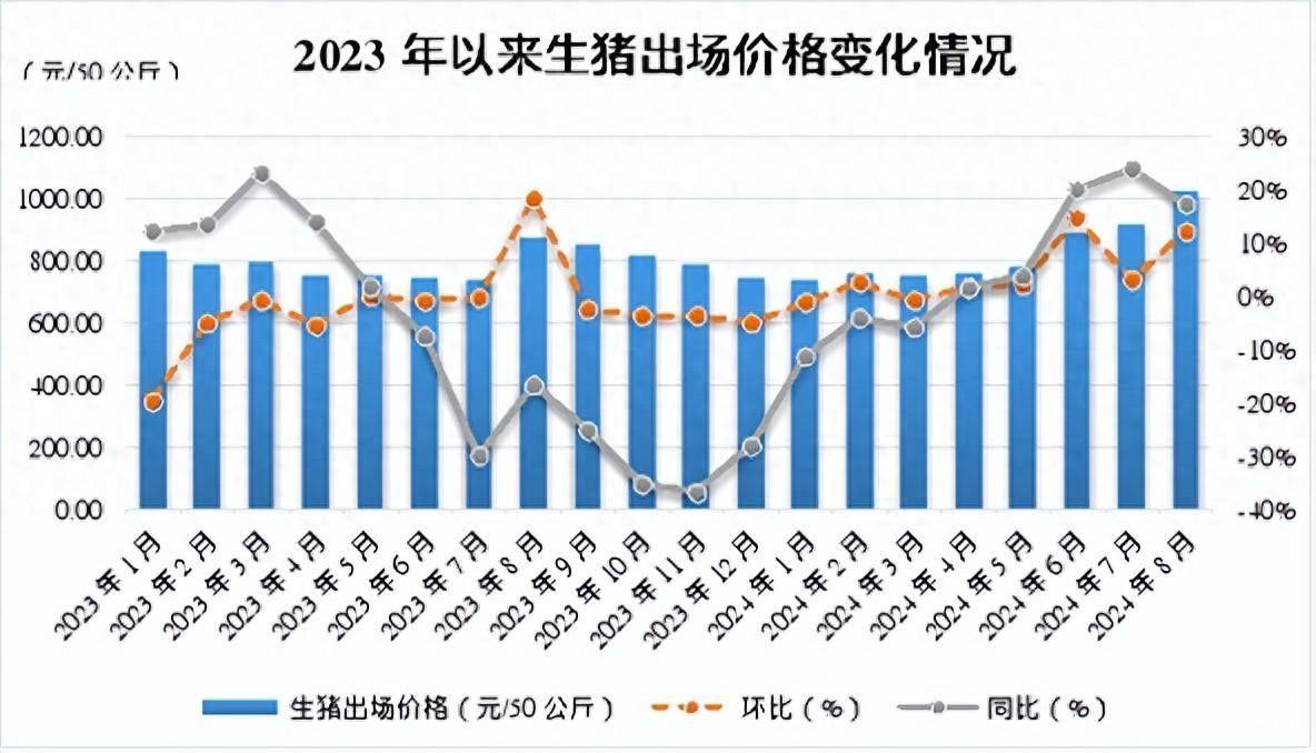 2025年1月6日生丝报价最新价格多少钱