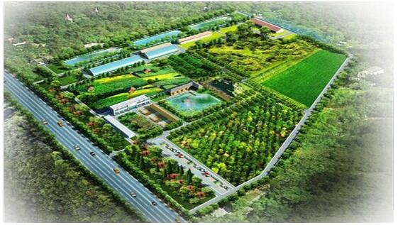2025年制糖工业市场现状与发展趋势分析_人保财险政银保 ,人保有温度