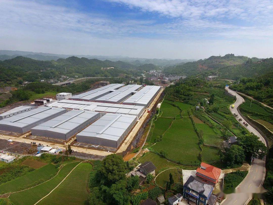 华绿生物：拟将原有金针菇生产线改造为鹿茸菇生产线