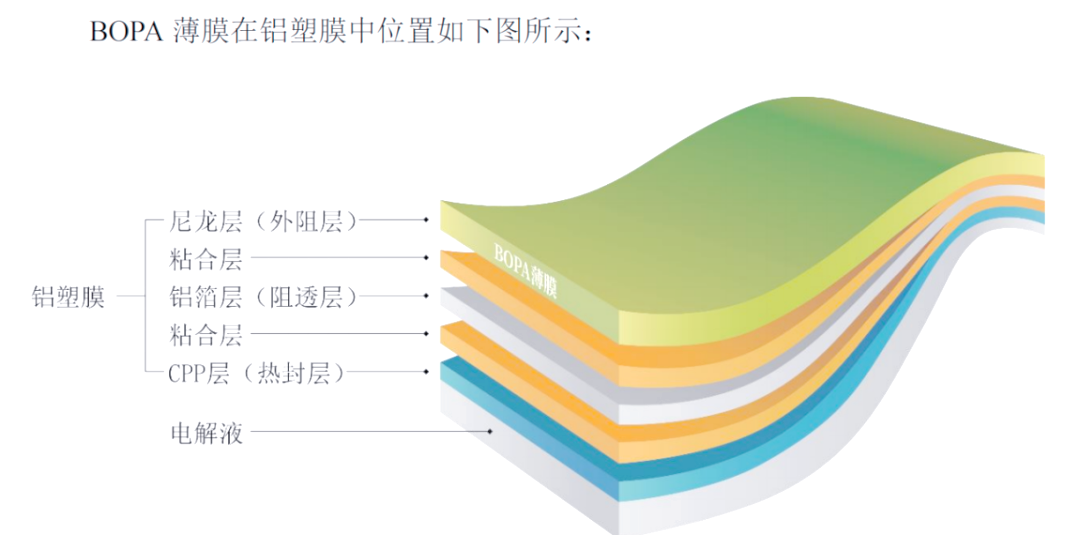中仑新材：公司的锂电膜产品作为软包锂电池铝塑膜的核心基材已稳定量产
