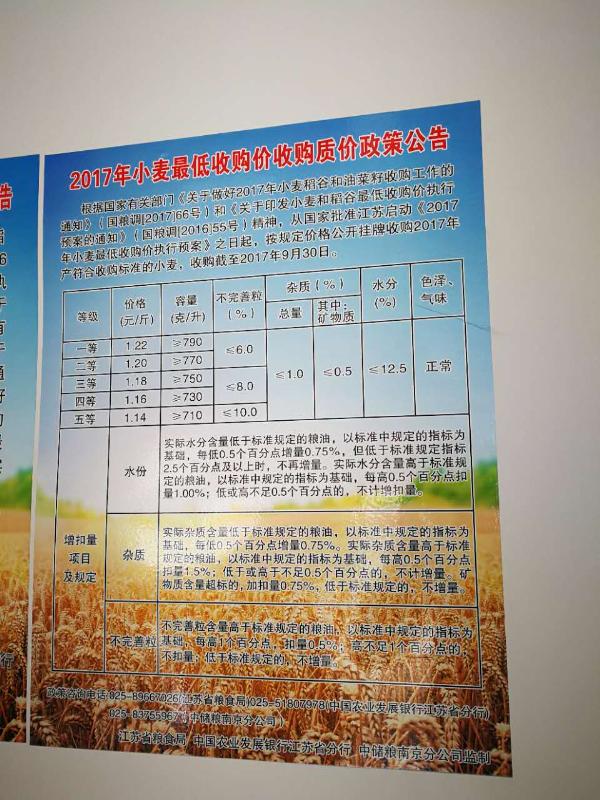 国家粮食和物资储备局：6月7日起在河南省启动2025年小麦最低收购价执行预案
