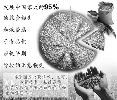 新华鲜报丨应对全球空间天气灾害！我国科学家发起国际子午圈大科学计划
