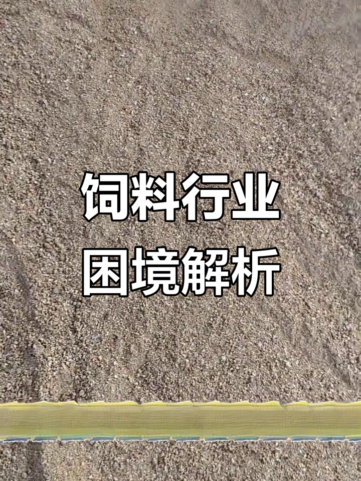 下游市场低迷重创“饲料”主业，新业务难挑大梁，粤海饲料近十年首现亏损