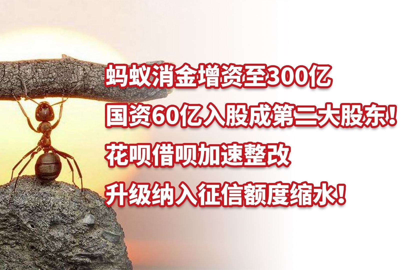 中国家庭教育学会携手蚂蚁消金“金融科普花花车”启动全国校园巡展