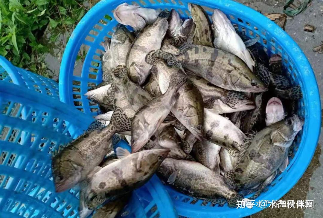 中央气象台6月14日18时继续发布暴雨橙色预警
