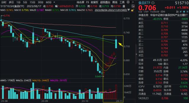 铁矿价格夜盘续涨 后续走势如何？