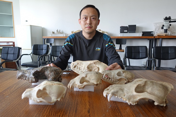 AI辅助去核提升犬科动物克隆效率