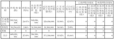 联合光电：控股股东、实际控制人龚俊强质押50万股