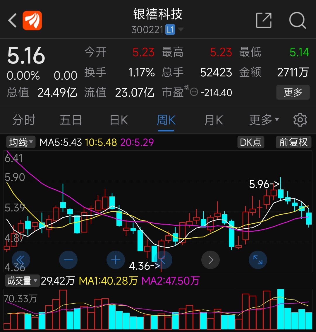 银禧科技(300221.SZ)：一季度净利润3842万元 同比增长114.45%