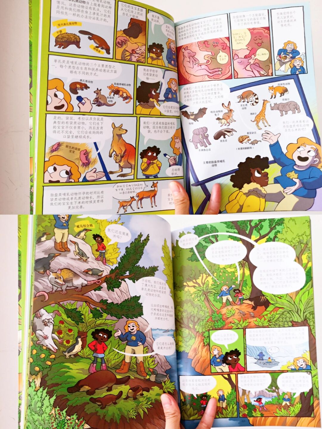 2026年中国动物园行业：从“门票经济”到“服务经济”的结构性换轨_保险有温度,人保财险 