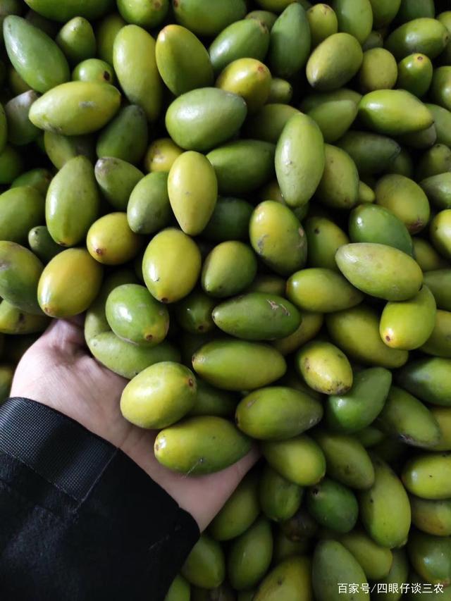 云南白药获得发明专利授权：“从三七茎叶中同时制备人参黄酮苷和槲皮素-3-O-β-D-吡喃葡萄糖-(1→2)-β-D-吡喃半乳糖苷的方法”