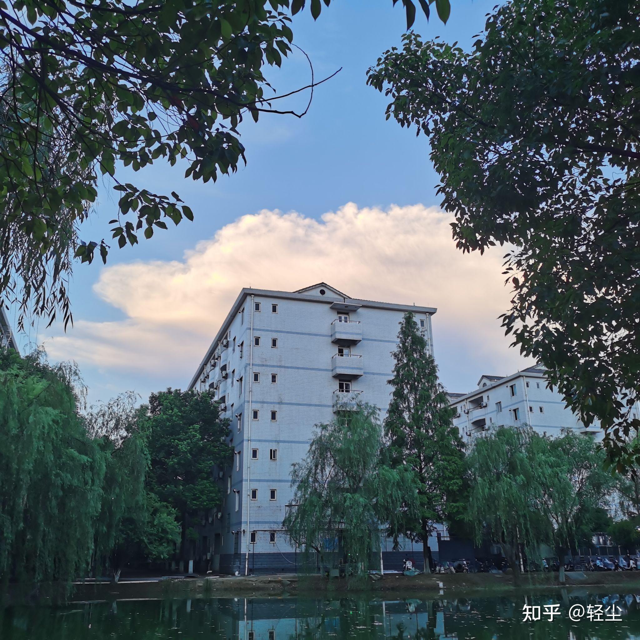 天桥起重与中南林业科技大学达成产学研战略合作