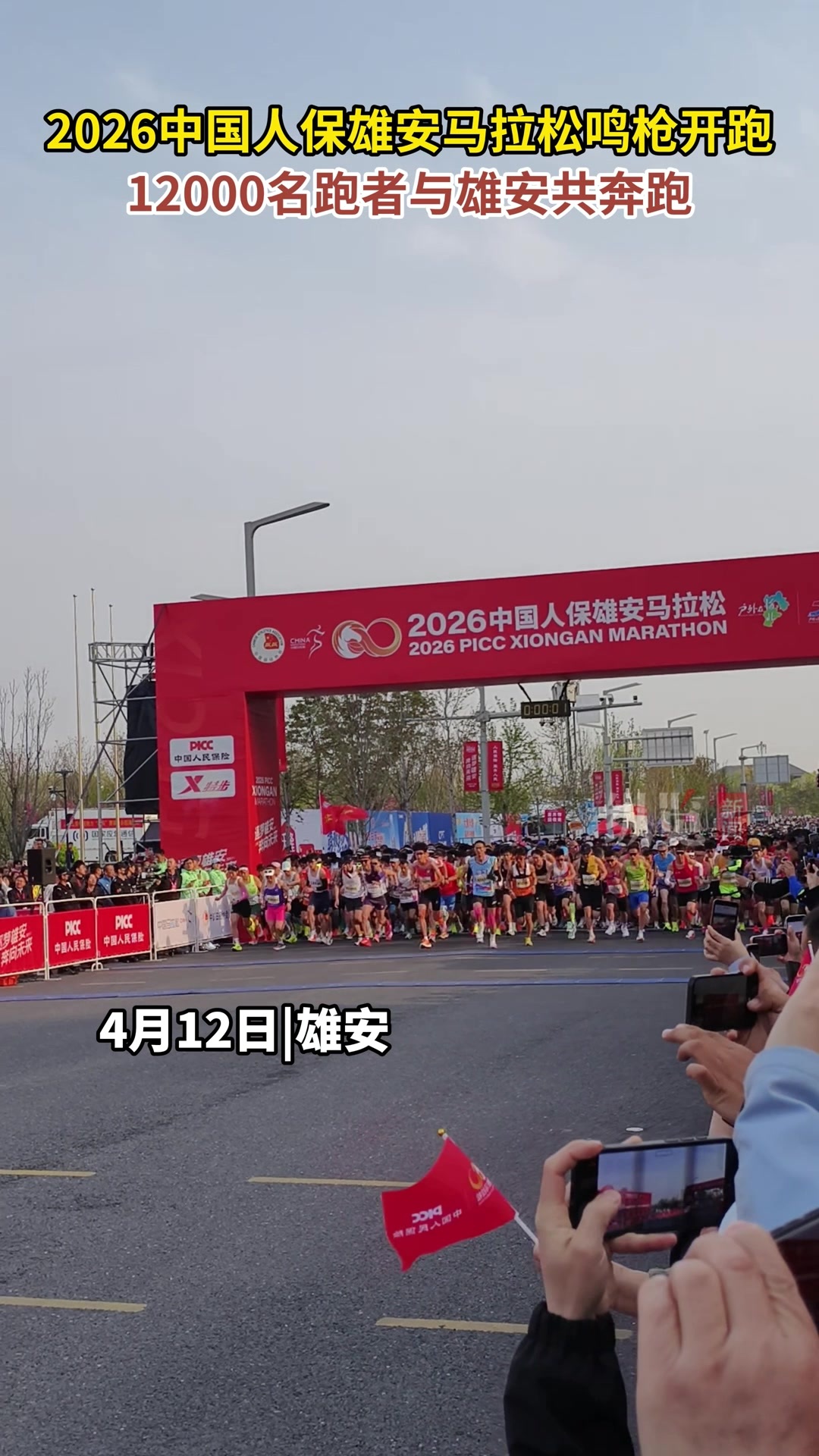 人保伴您前行,人保财险 _2026中国电池片行业：站在价值重构的风口