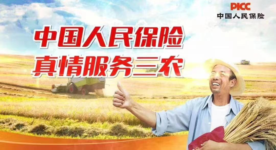 人保伴您前行,人保财险政银保 _2026-2030年中国投影设备市场深度解码：光影技术变革下的供需重构、竞争格局演变与投资战略全景报告