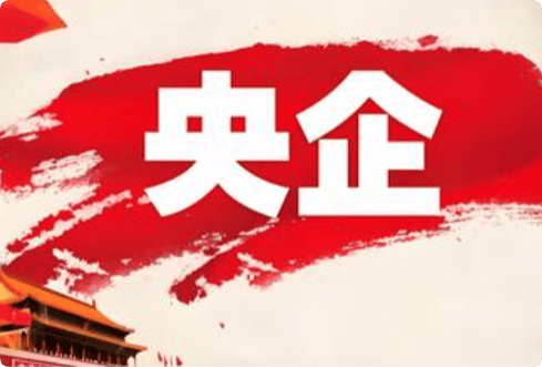 国务院国资委主任张玉卓会见世界经济论坛代理总裁兼首席执行官茨温吉