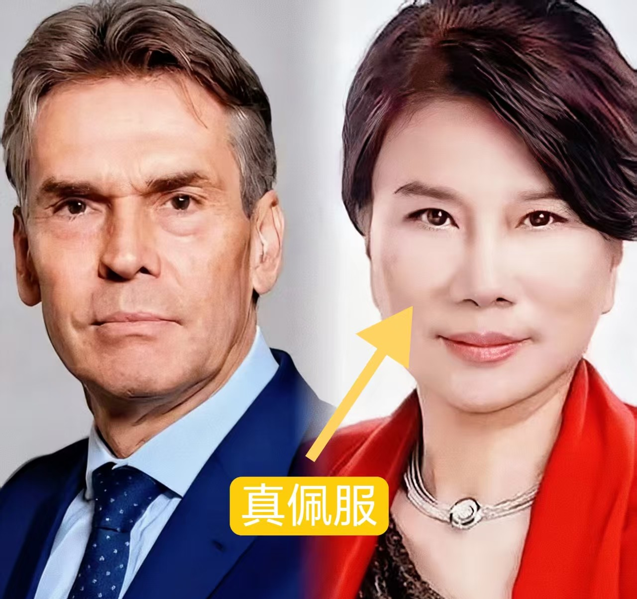 索赔80亿元，闻泰科技起诉荷兰安世半导体获受理