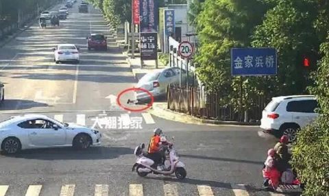 突发！688033、603255，被证监会立案