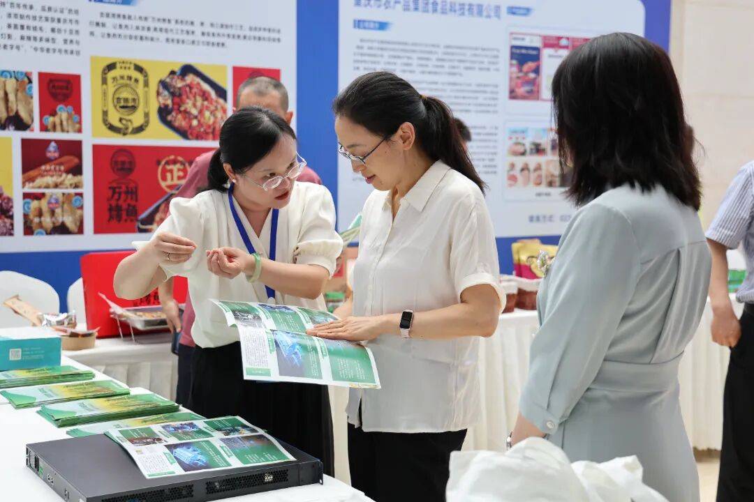 我国粮储科技创新持续发力 全方位守护粮食安全