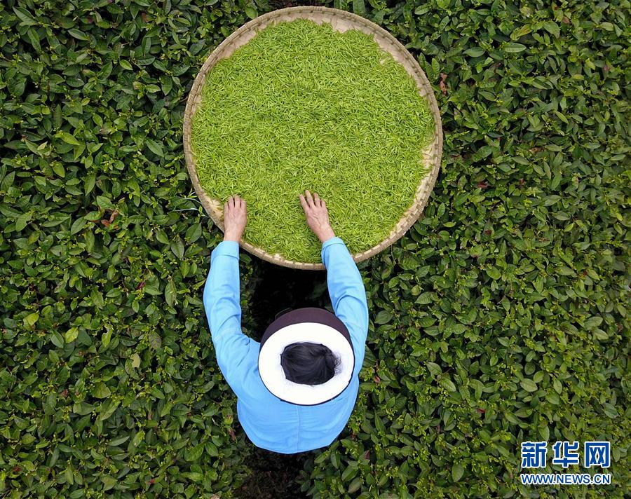 人保车险,人保有温度_2026年中国农膜行业：在绿色转型与价值重塑中迈向高质量发展